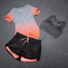 Sport Suit Bra Set