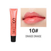 Moisturizer Glitter Lip Gloss
