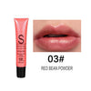 Moisturizer Glitter Lip Gloss