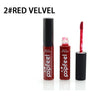 Long Lasting Lip Gloss Lipstick